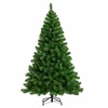 Image 2: Albero di Natale Nordmann con base