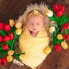 Image 13: Newborn Photography: Get a Standard, Deluxe or Solo Collection
