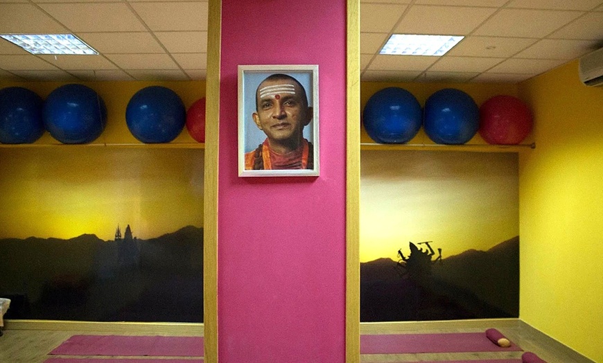 Image 13: Clases de yoga y pilates con opciones mensuales y bonos flexibles