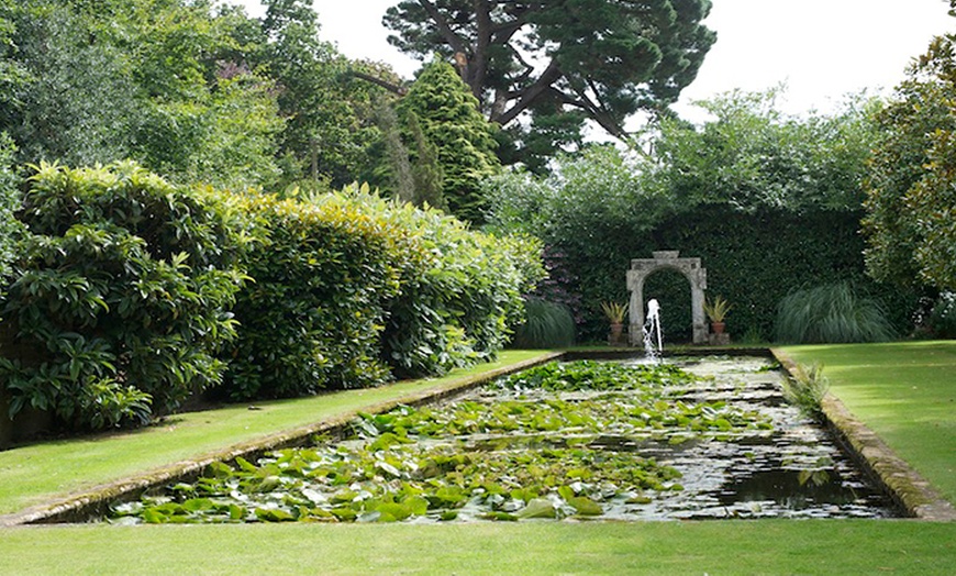 Image 7: Athelhampton Entry and Cream Tea