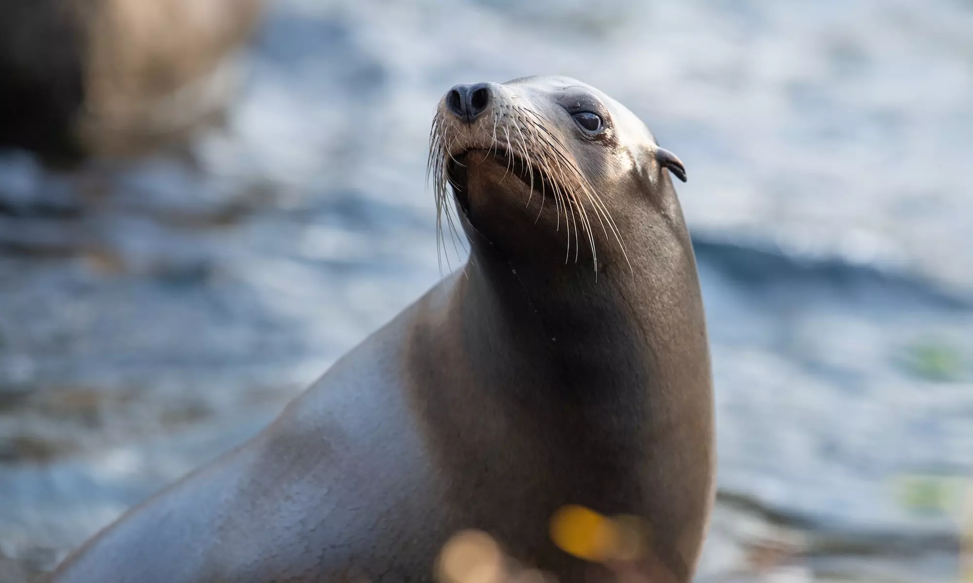 Admission for One Child or Adult to Bronx Zoo