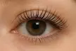 Up to 50% Off on One Eyelash Lift Treatment & Optional Eyelash Tinting Session at Glam Esthetix - Second Medium