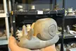 Join Color Cocktail Factory's BYOB Class to Craft a Smoking Pipe or Ashtray with Up to 40% Off - Second Medium