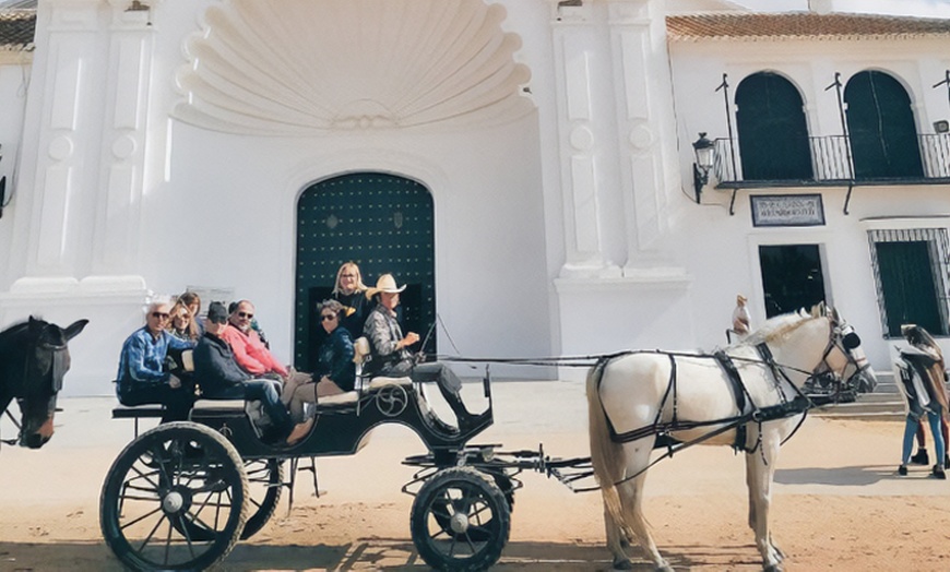 Image 3: Paseo privado en carro de caballos 2 horas para 2 o 4 personas