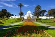 Guided Golden Gate Park Walking Tour with California Academy of Sciences Ticket - Optional VIP Upgrade - Second Medium