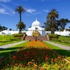 Image 2: Guided Golden Gate Park Walking Tour w/ California Academy of Sciences