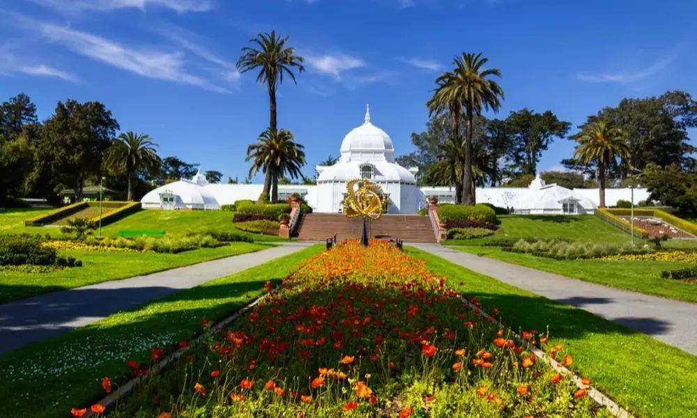 Guided Golden Gate Park Walking Tour w/ California Academy of Sciences