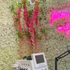 Image 4: Acne Facial at Kimo Bentley