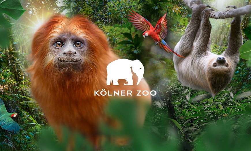 Image 1: Tageskarte Kölner Zoo & Aquarium