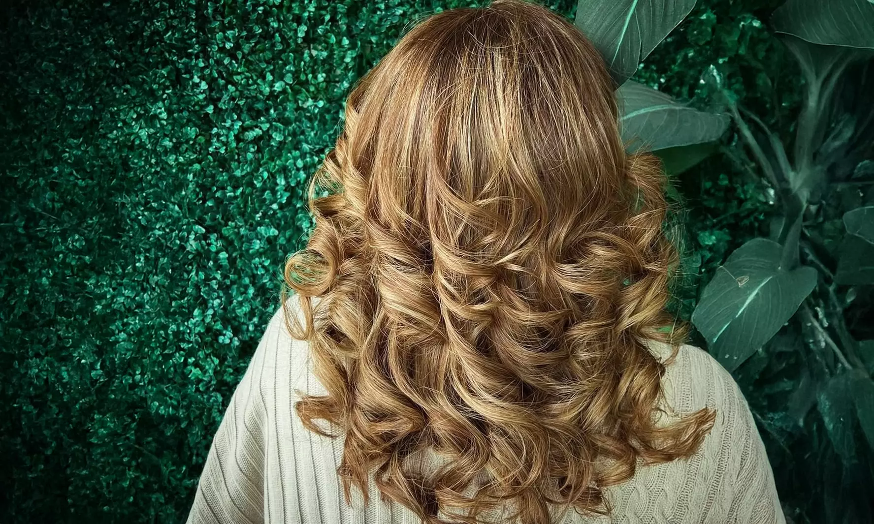 Wash, Cut & Blow Dry w/w/o Full Head Colour