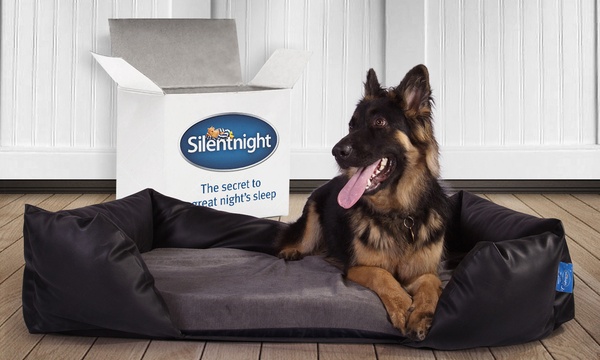 silentnight dog beds groupon