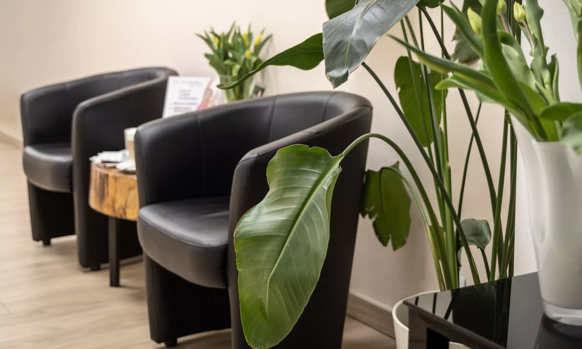 Profesjonalna depilacja laserowa: 1 lub 5 zabiegów na wybraną partię