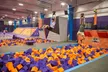 90-Minute Jump Passes or Party for up to 20 Jumpers at Altitude Trampoline Park - Phoenix (Up to 23% Off) - Second Medium