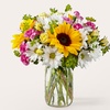 Image 4: ProFlowers Birthday Bouquets – Fresh Flowers Same-Day Delivery 