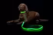 Safety Luminous LED Dog Light Up Collar Night Glow Adjustable Collar with Leash - Second Medium