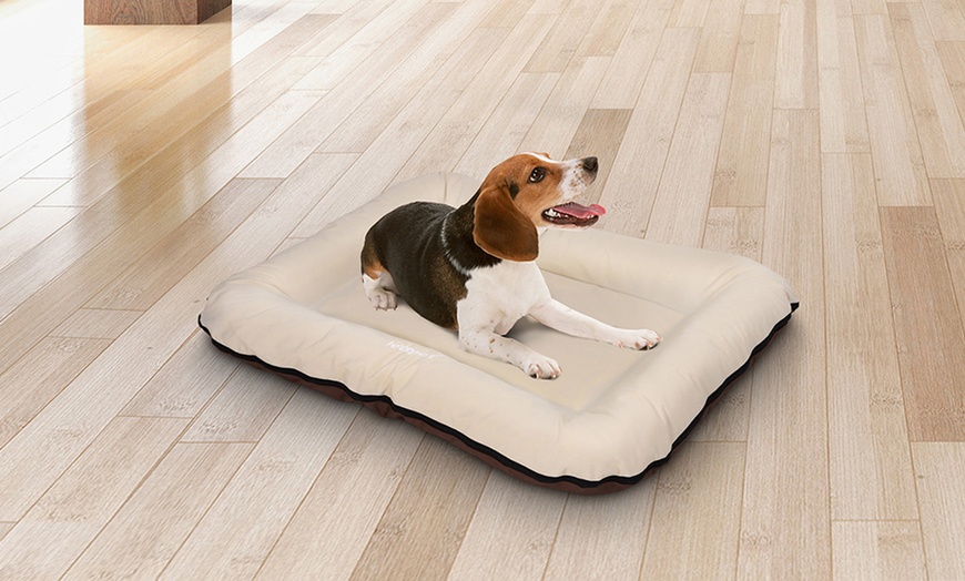 Image 6: Large Flat Dog Beds