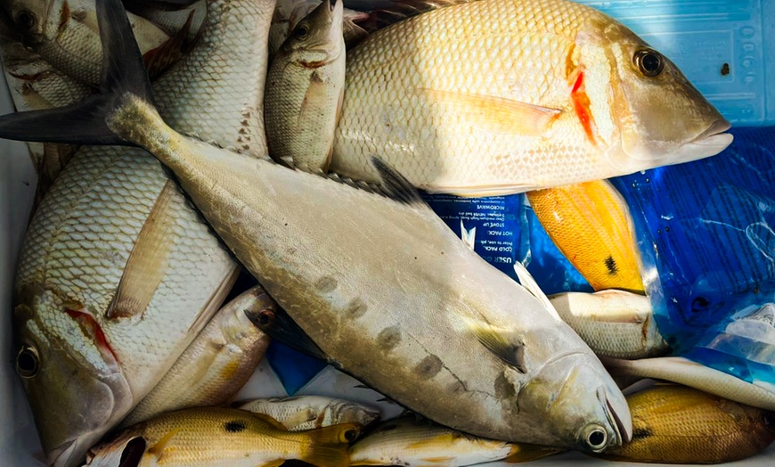 Image 5: Three-Hour Private Fishing Trip - 24 or 35 Feet Speed Boat