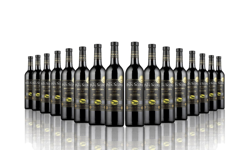 Image 1: 16 Bottles of Gran Reserva Wine