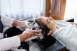 60, 75 or 90-Minute Head Spa & More for One or Couple with Up to 31% Off - Second Medium