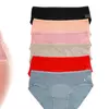 6-Pack Flower Mesh Pannel