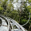 Image 3: Enjoy Wisconsin's Best Views with 2 Coaster Rides for Adults or Kids 