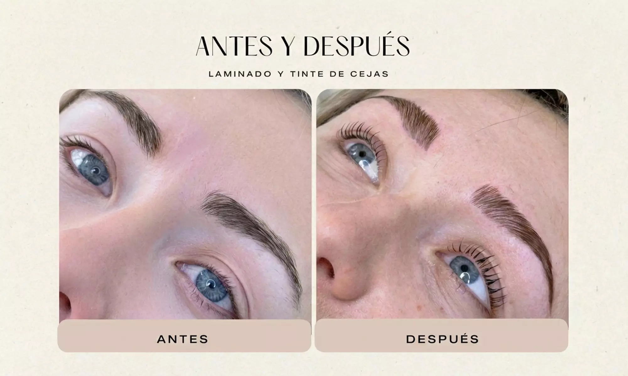 Lifting y tinte de pestañas con opción a laminado de cejas y diseño