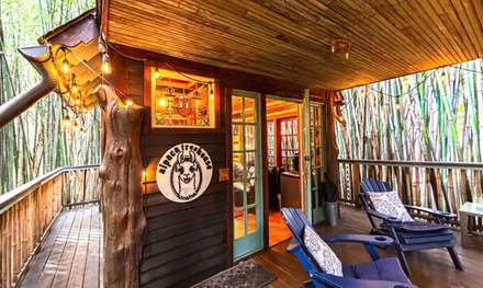 90 Minute Llama & Alpaca Experience For 1 - Atlanta Alpaca Treehouse In The Bamboo Forest - Atlanta, Georgia