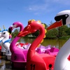 Image 4: Pedalo Hire for Up to Five People Weekdays - Valid Till Oct 3