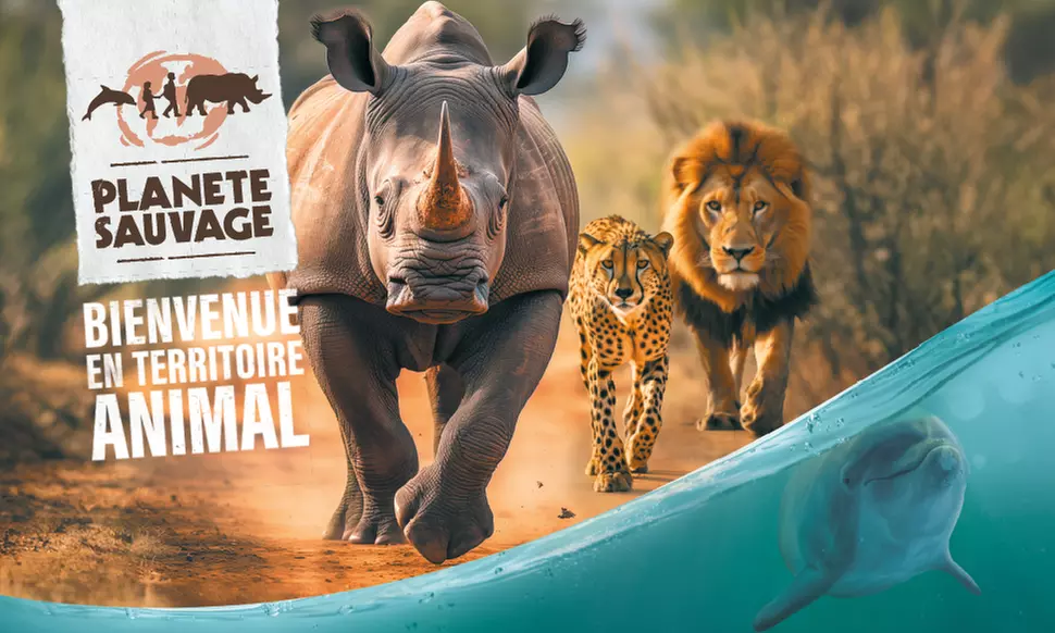 Le "plus grand safari de France" : journée à Planète Sauvage au milieu de plus de 1000 animaux (23% de remise) - Primary Image