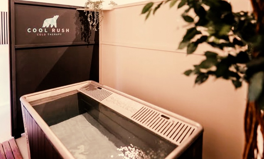 Image 10: Energieke ijsbad ervaring met ademcoaching: solo- of duo-sessie