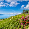 Image 3: ✈ 8-Day Geneva & Montreux Vacation with Air from Weekender Breaks