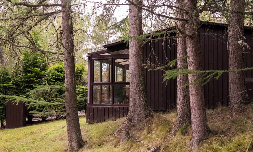 Image 4: Carrbridge: Standard One or Two-Bedroom Cabin for Up to Four People