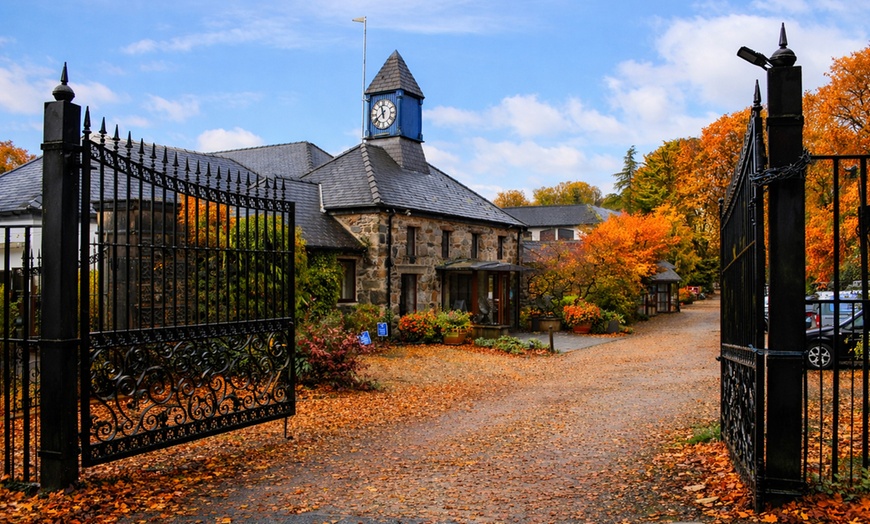 Image 19: Spa Day w/ 60min Choice of Treatment & Sparkling Afternoon Tea 