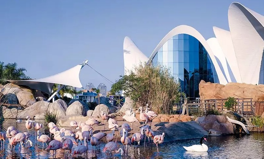 Image 4: Cofre canjeable para el Oceanogràfic Valencia con Wonderbox