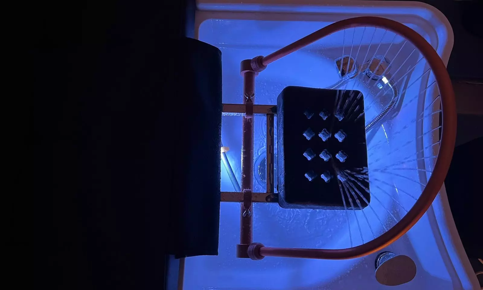 Head Spa capilar con té de cortesía en tres rituales únicos