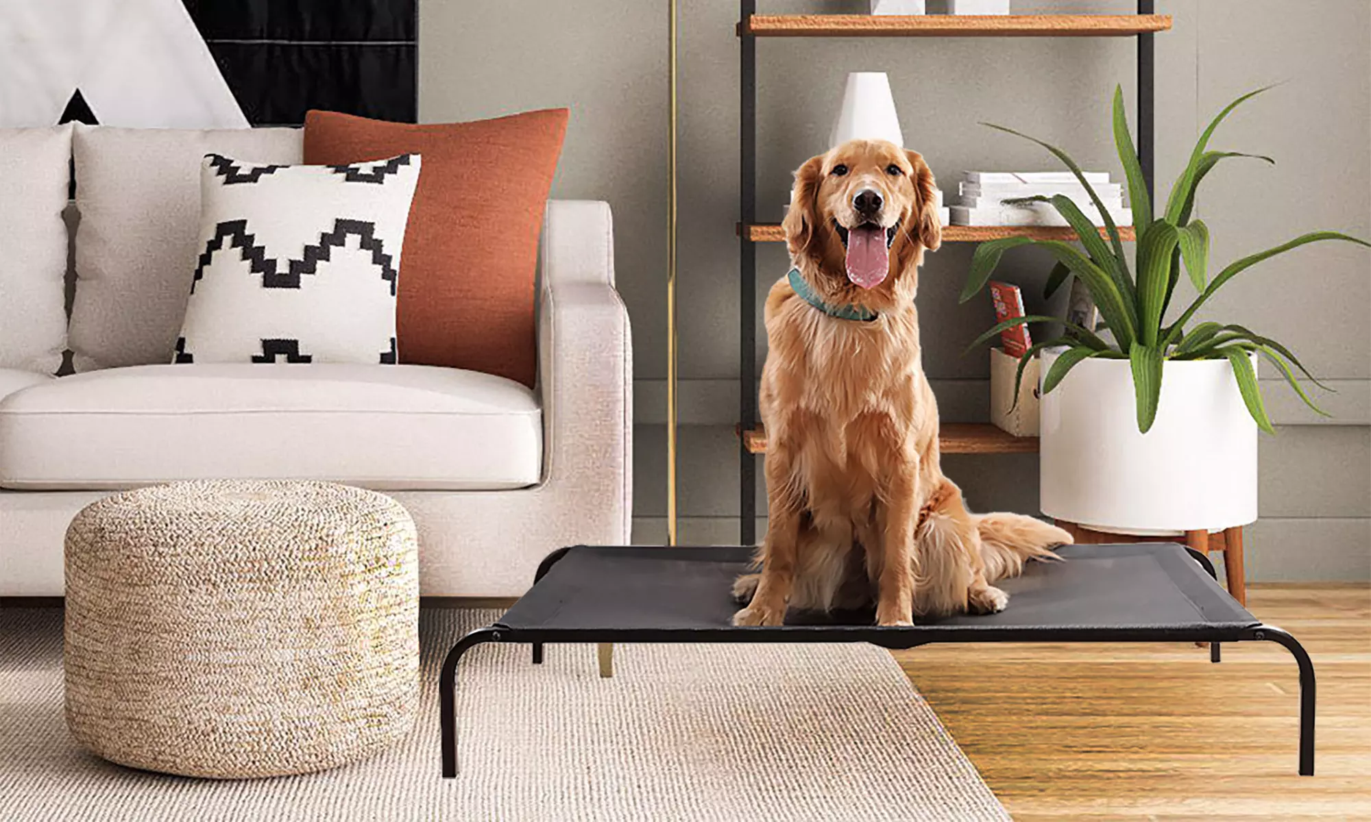 Lit surélevé pour chiens Pet Amore - Primary Image
