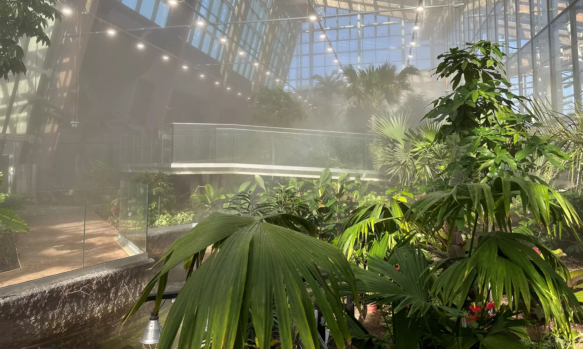 Zobacz z bliska egzotyczne rośliny i zwierzęta: bilety do Egzotarium