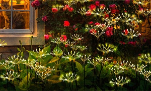 Twinkling Solar Firework Garden Lights