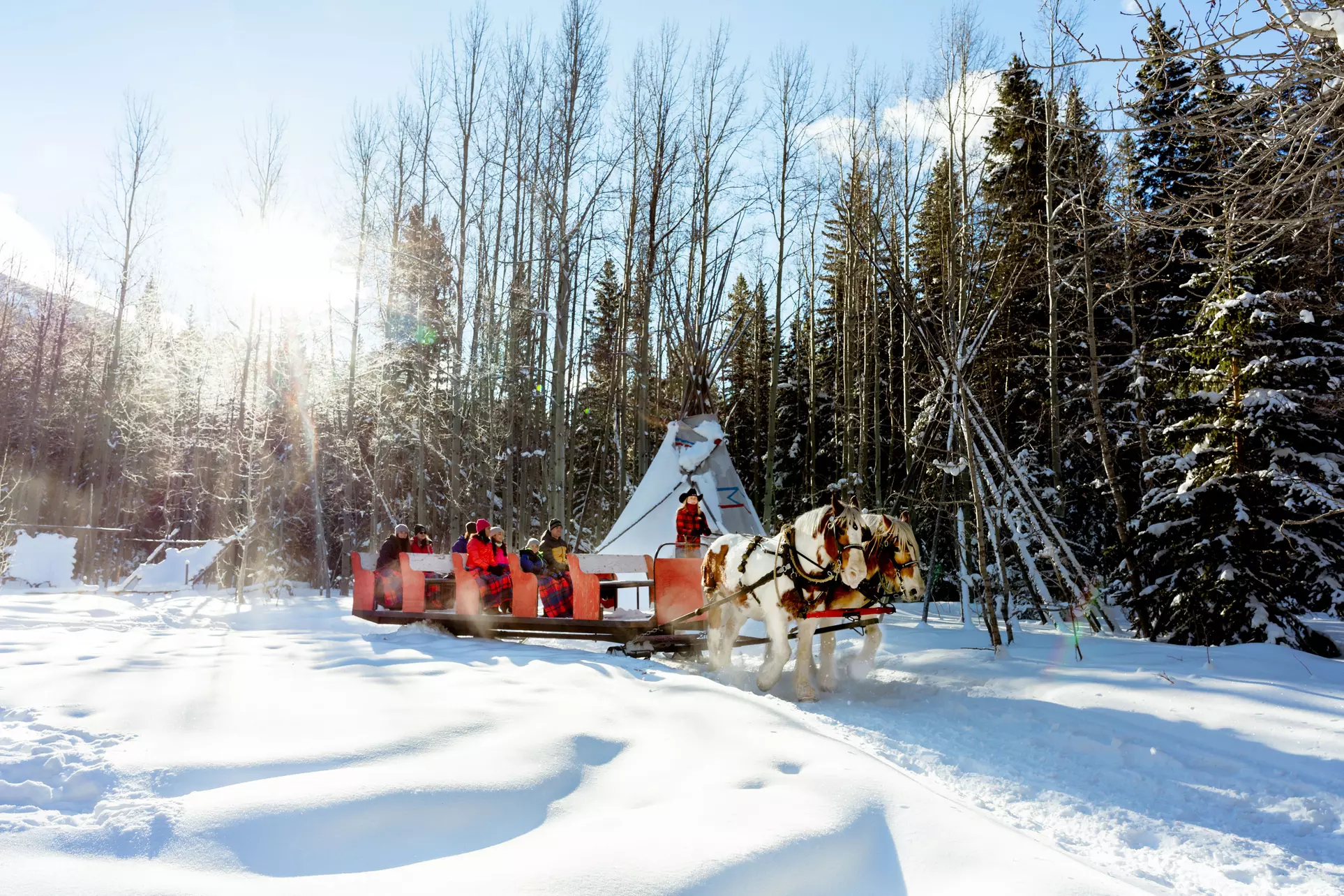 Magically Breathtaking Winter Sleigh Adventure in the Canadian Rockies