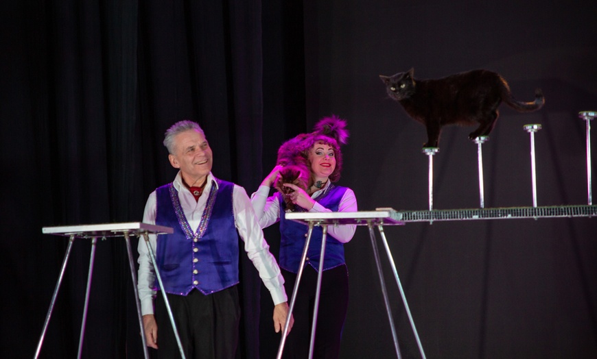 Image 7: 1 Ticket für den Ludwigshafener Weihnachtscircus vom 22.12. bis 03.01.