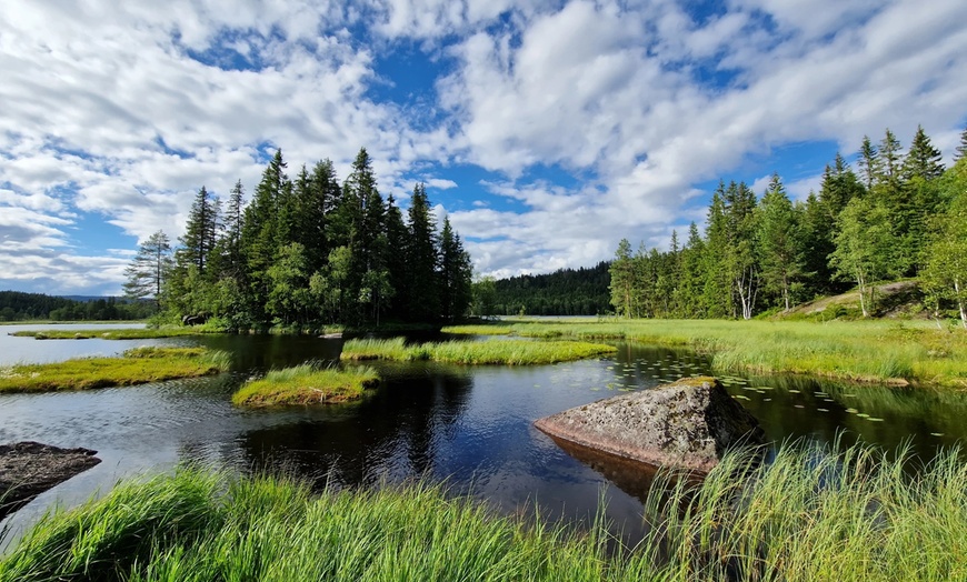 Image 5: ✈ Norway Pulse: 7-Day City Break in Oslo with Air & Hotel from Worldee