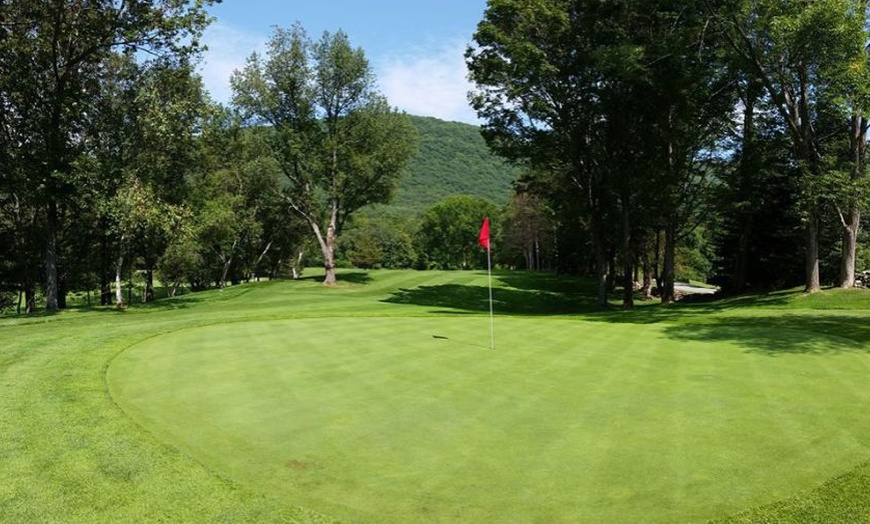 Image 2: Play 9 or 18 Holes With a Power Cart for Two Players 