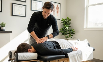Chiropractic Pack,  One Adjustment + Consultation + Examination  + Vibration Massage (1 Visit) - Stekel Chiropractic