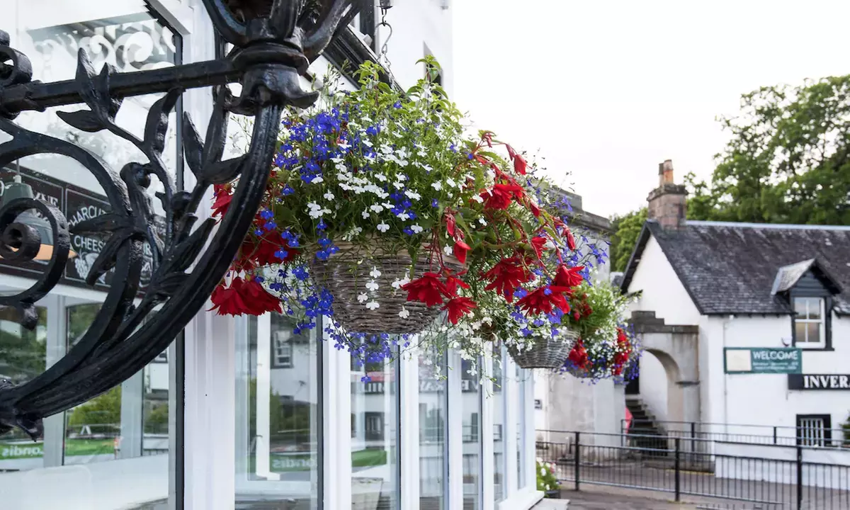 Argyll and Bute: 1-3 Nights with Breakfast