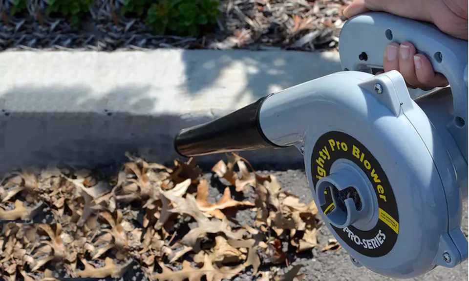 Pro-Series Electric Mighty Pro Blower - Second Medium