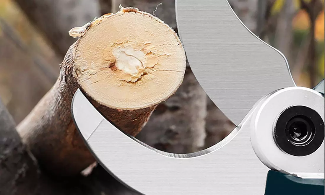 Elektrische Gartenschere inkl. Akku und Aufbewahrungskoffer