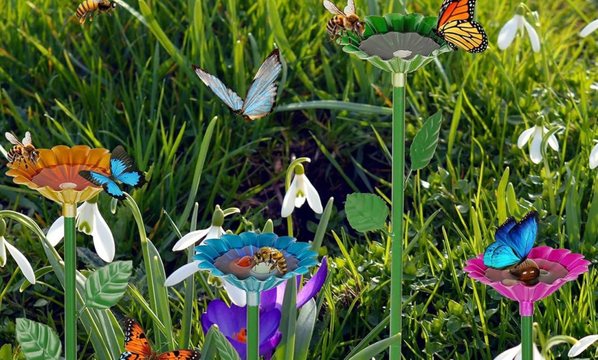Image 8: 4Pcs Bee Water Feeders