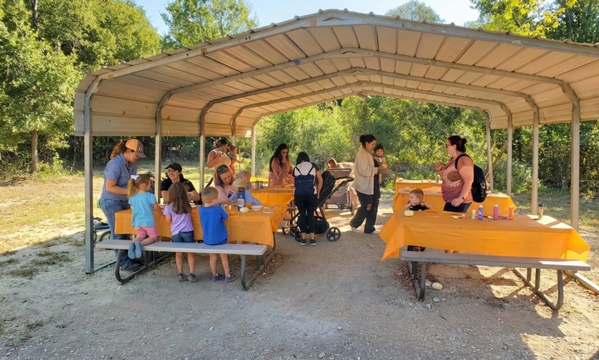 Image 2: Family Farm Experiences with Animal Encounters in San Antonio