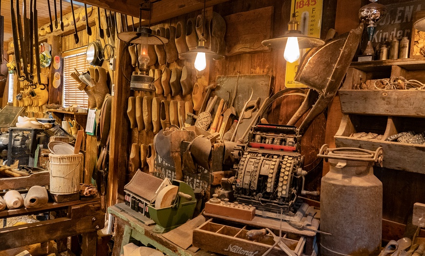 Image 6: Zaanse Schans Tour: vanuit Amsterdam in een Hop On Hop Off Holland bus