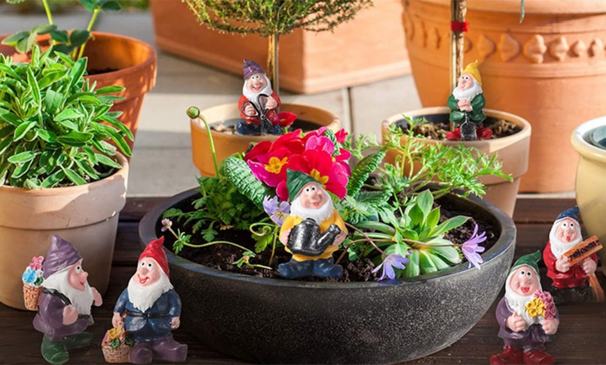 Up To 28% Off One or Two Seven-Piece Miniature Garden Gnome Sets | Groupon